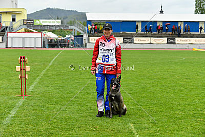 Camino Brillante Azima