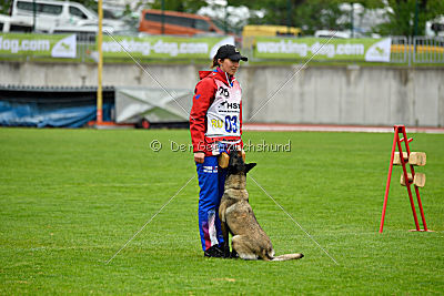Camino Brillante Azima