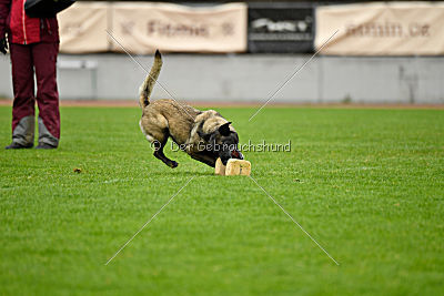 Camino Brillante Azima