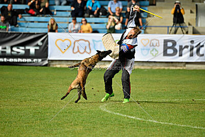 Camino Brillante Blicka