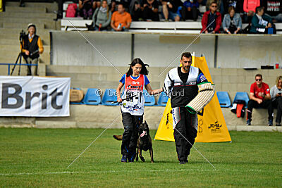 Camino Brillante Blicka