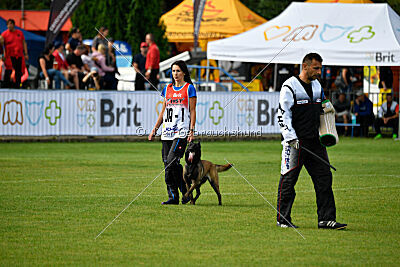 Camino Brillante Blicka