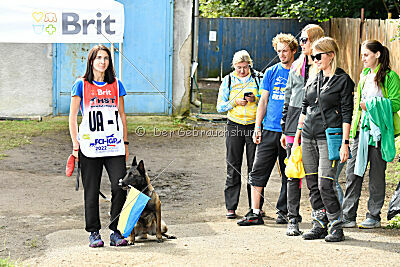 Camino Brillante Blicka