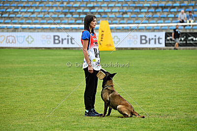 Camino Brillante Blicka