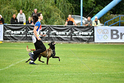 Camino Brillante Blicka