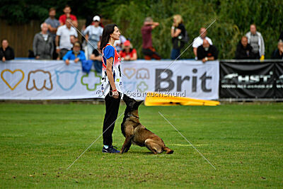 Camino Brillante Blicka