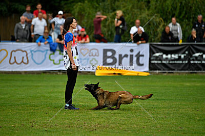 Camino Brillante Blicka