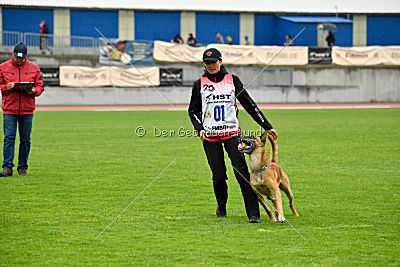 Campari vom Clan der Wölfe