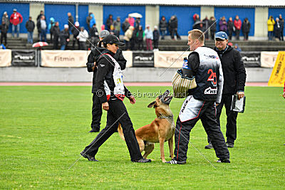 Campari vom Clan der Wölfe