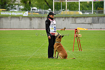 Campari vom Clan der Wölfe