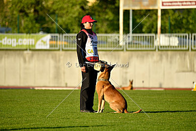 Campari vom Clan der Wölfe