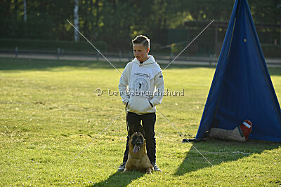 Caramba von der schwarzen Mamba