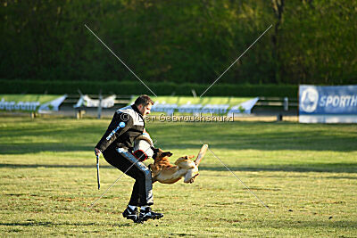 Caramba von der schwarzen Mamba