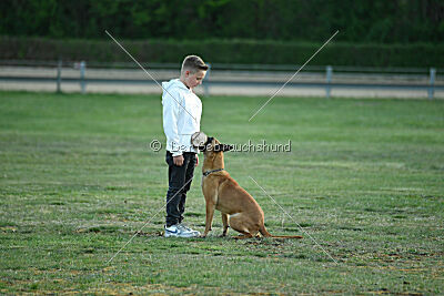 Caramba von der schwarzen Mamba