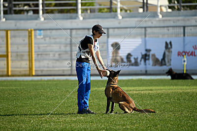 Carina Ajka Force Canina