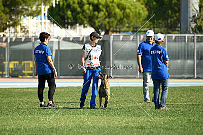 Carina Ajka Force Canina