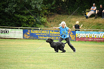 Carotte von Elberfeld