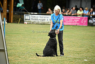 Carotte von Elberfeld