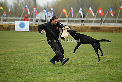 Cash Black Highspeed Devil