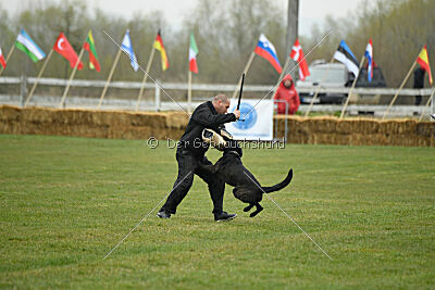 Cash Black Highspeed Devil