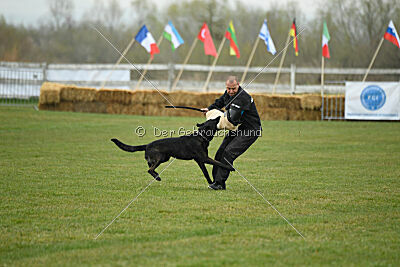 Cash Black Highspeed Devil