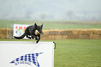 Cash Black Highspeed Devil