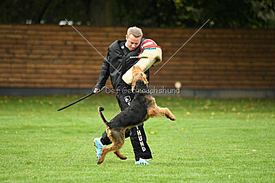 Caspar-David vom roten Milan