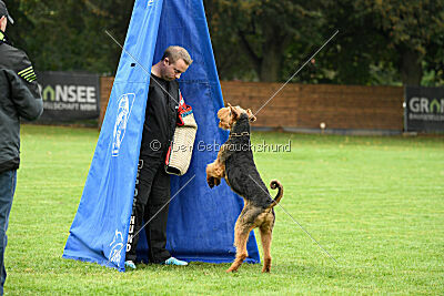 Caspar-David vom roten Milan