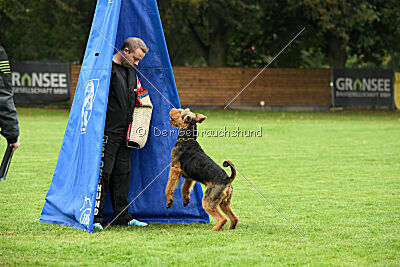 Caspar-David vom roten Milan