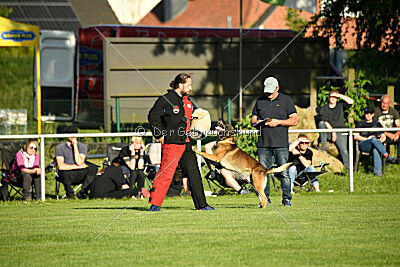 Cassius Dio vom Buxtehuder Bullen