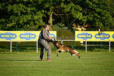 Cassius Dio vom Buxtehuder Bullen