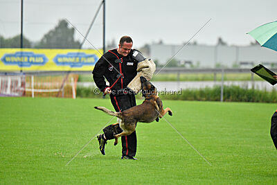 Cassius Dio vom Buxtehuder Bullen