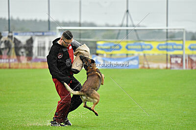 Cassius Dio vom Buxtehuder Bullen