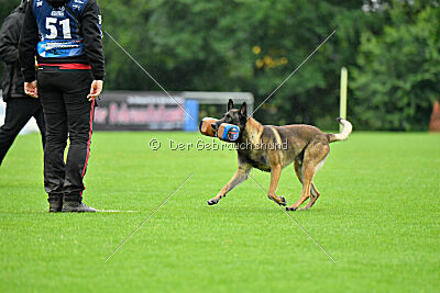 Cassius Dio vom Buxtehuder Bullen