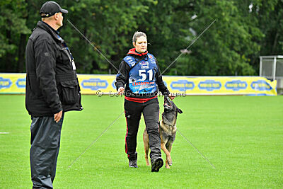 Cassius Dio vom Buxtehuder Bullen