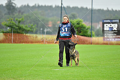 Cassius Dio vom Buxtehuder Bullen