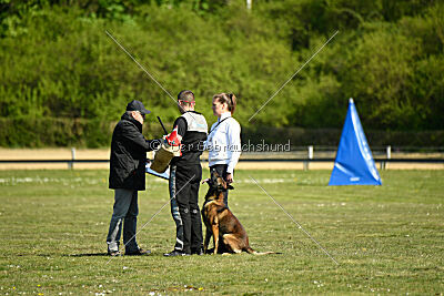 Cassius Dio vom Buxtehuder Bullen