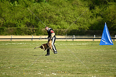 Cassius Dio vom Buxtehuder Bullen