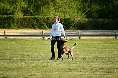 Cassius Dio vom Buxtehuder Bullen