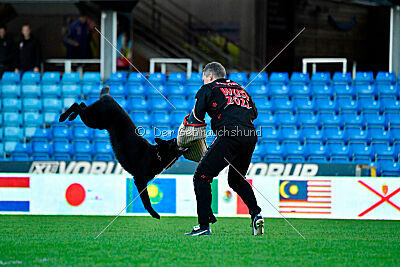 Catch me if you can vom Haus Vax