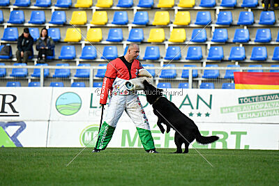 Catch me if you can vom Haus Vax