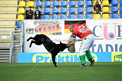 Catch me if you can vom Haus Vax