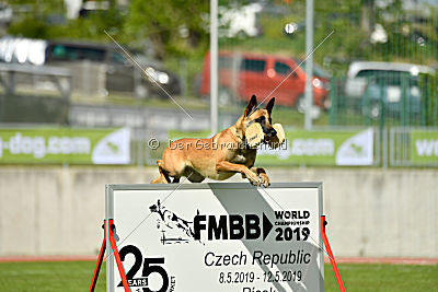 Catlyn vom Clan der Wolfe