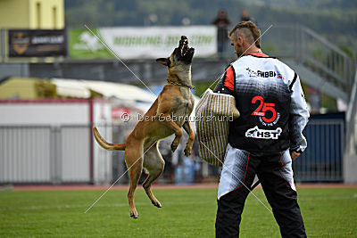 Catlyn vom Clan der Wolfe