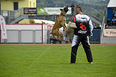 Catlyn vom Clan der Wolfe