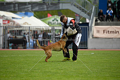 Catlyn vom Clan der Wolfe