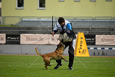 Catlyn vom Clan der Wolfe