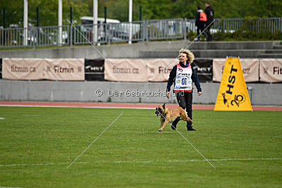 Catlyn vom Clan der Wolfe