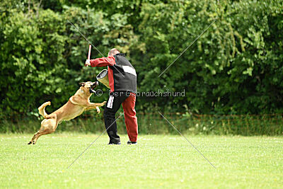 Cave Canem Odin vom Mittelpunkt