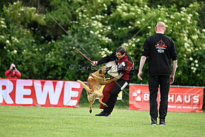 Cave Canem Odin vom Mittelpunkt